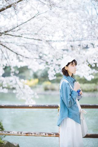 鸳鸯蝴蝶免费全集观看